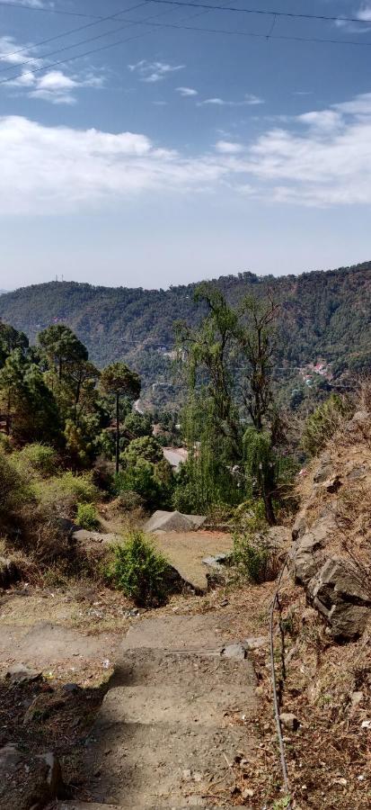 2Bhk Furnished Apartment/Near Kasauli/Barog/Luv Fun & Adventure Solan Exteriér fotografie