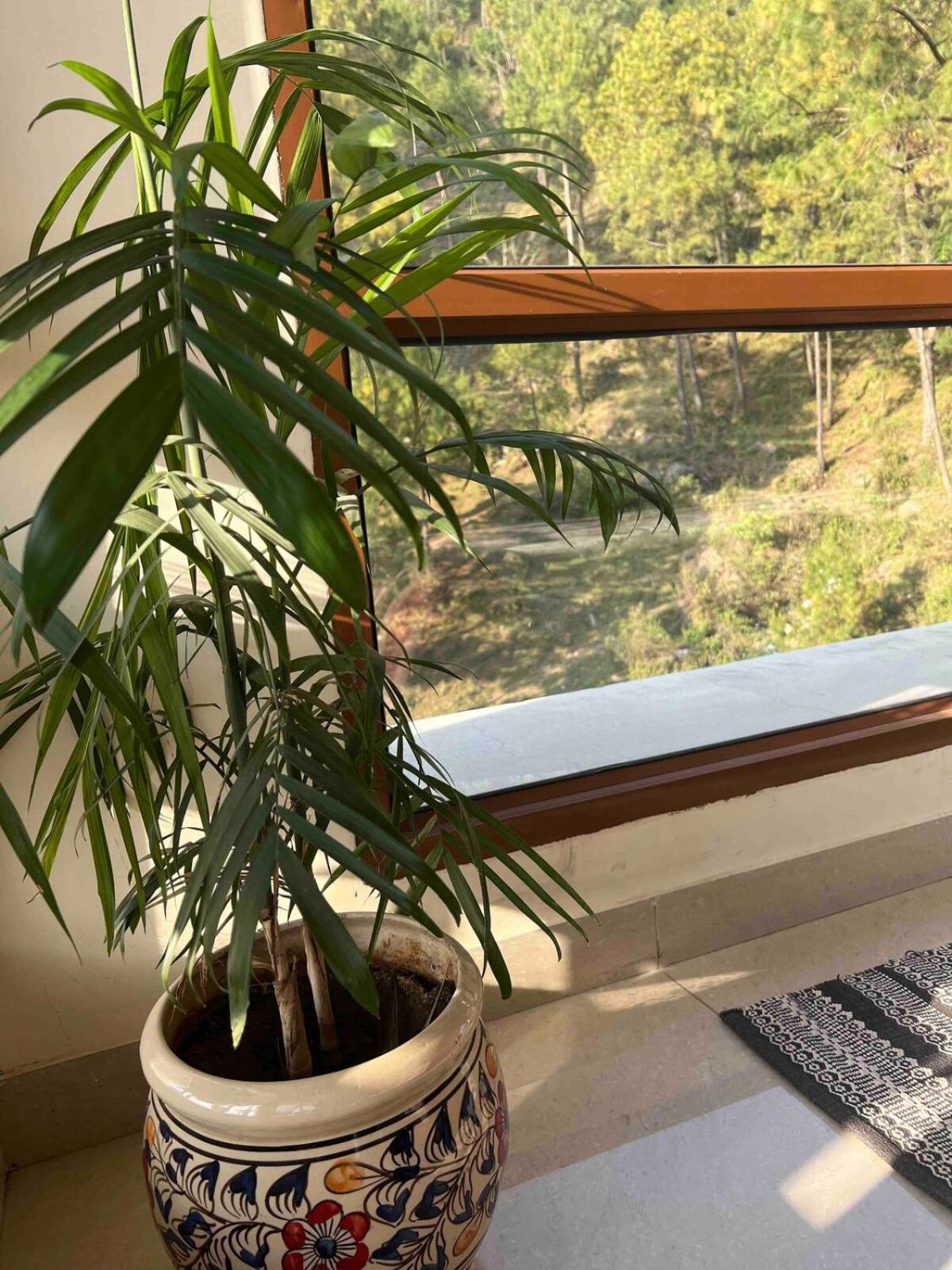 2Bhk Furnished Apartment/Near Kasauli/Barog/Luv Fun & Adventure Solan Exteriér fotografie