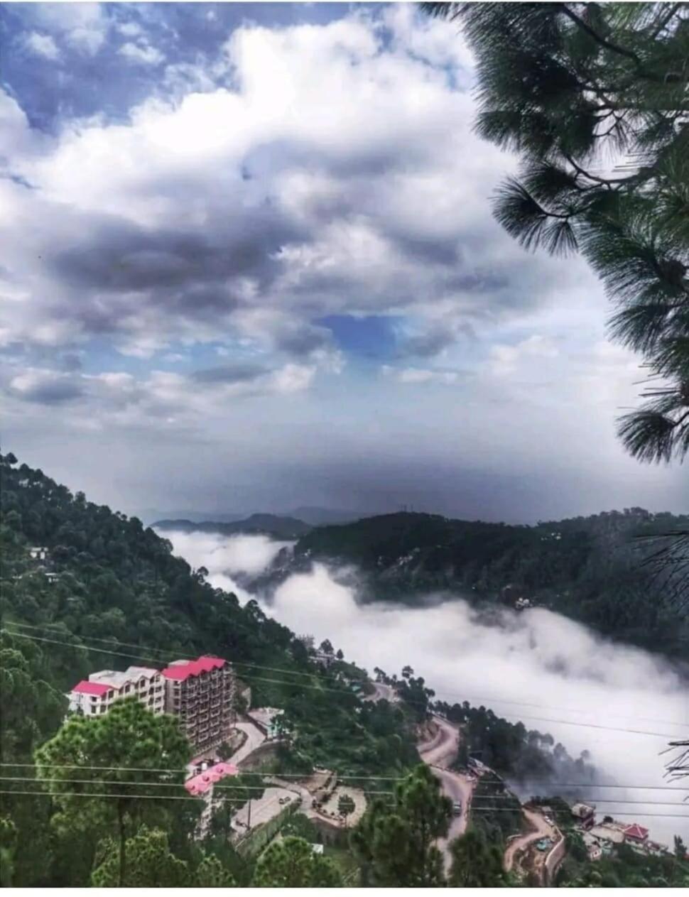 2Bhk Furnished Apartment/Near Kasauli/Barog/Luv Fun & Adventure Solan Exteriér fotografie
