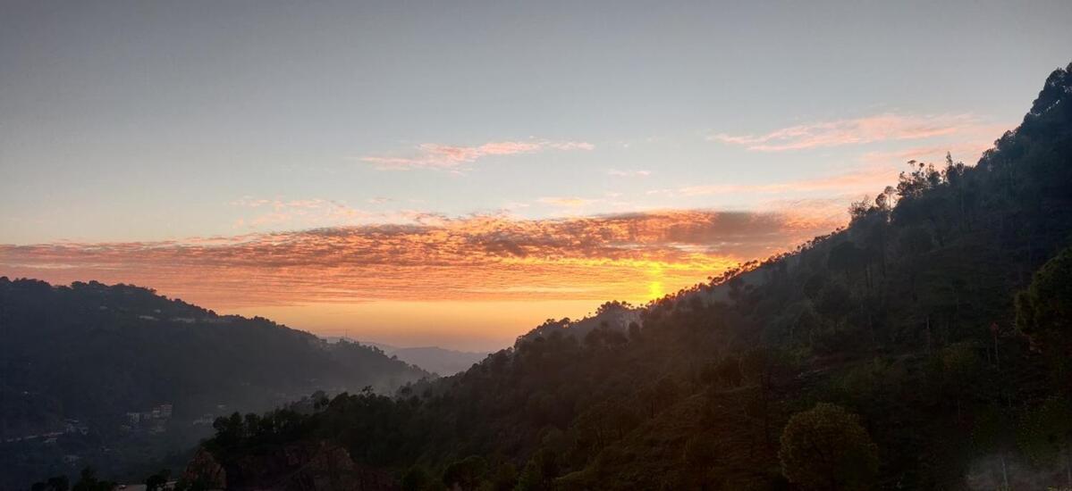 2Bhk Furnished Apartment/Near Kasauli/Barog/Luv Fun & Adventure Solan Exteriér fotografie
